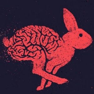 Meet your Posher, Francesca